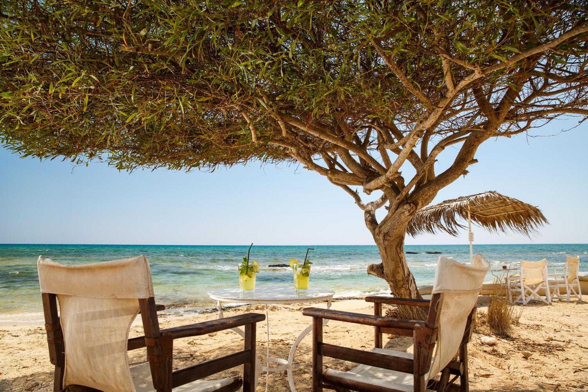 Thalassines Villas Aya Napa Dış mekan fotoğraf