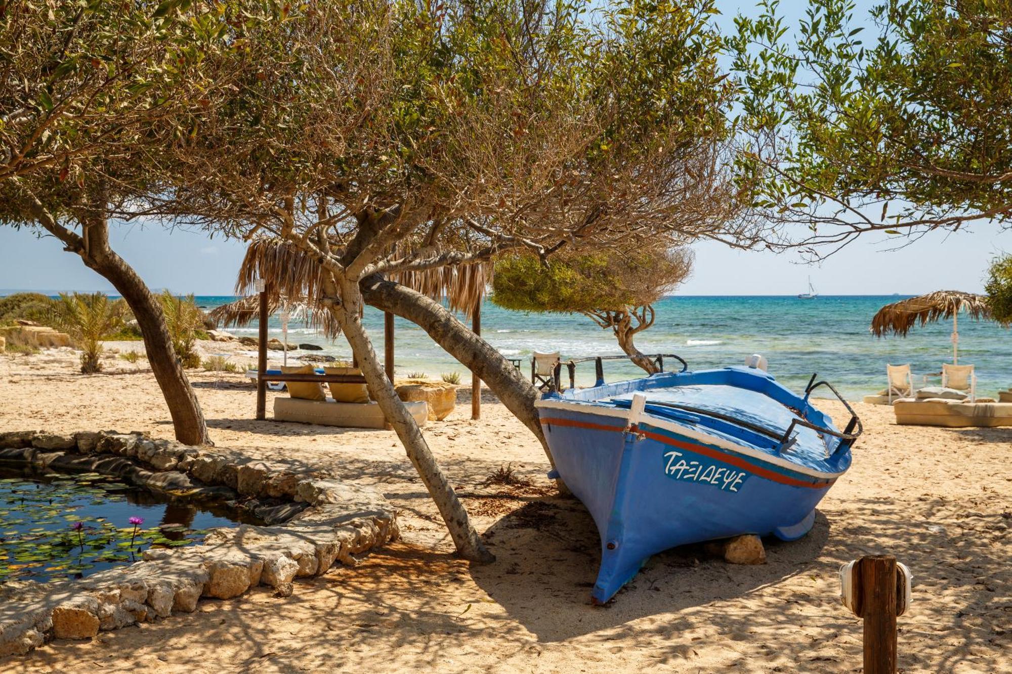 Thalassines Villas Aya Napa Dış mekan fotoğraf